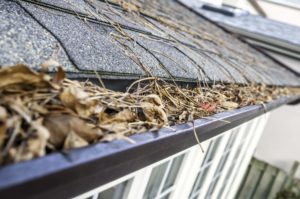 autumn maintenance gutters