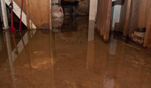 wet basement 