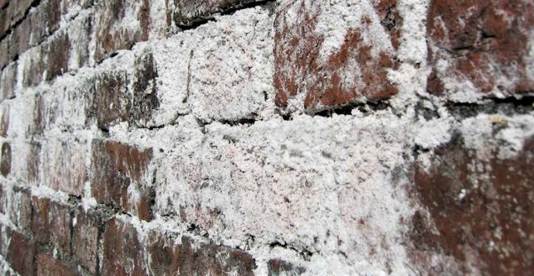 What Is Efflorescence Buildup?? | ACCL Waterproofing